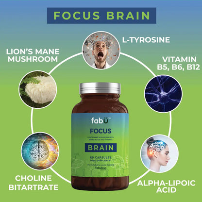 fabÜ Focus Brain