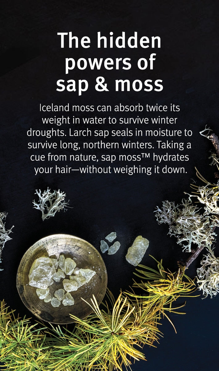 Aveda Sap Moss Weightless Hydration Conditioner